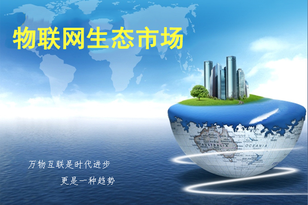 物联网应用服务